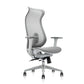 ALFA Ergonomic Task Chair Mesh Back with Lumbar Support Executive Computer Office Chair 706