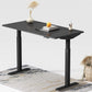 Dual Motor Standing Desk | ALFA DUO Desk - Standing Desk Dual Motor 2 Stage 48 x 30"
