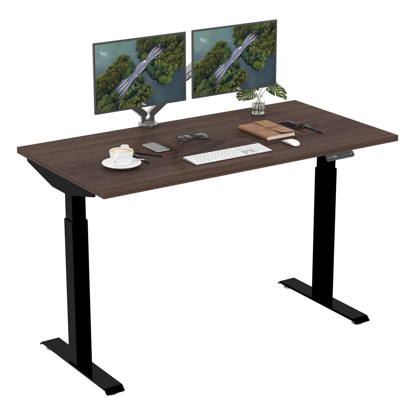 Dual Motor Standing Desk | ALFA DUO Desk - Standing Desk Dual Motor 2 Stage 55 x 28"