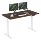 Dual Motor Standing Desk | ALFA DUO Desk - Standing Desk Dual Motor 2 Stage 55 x 28"