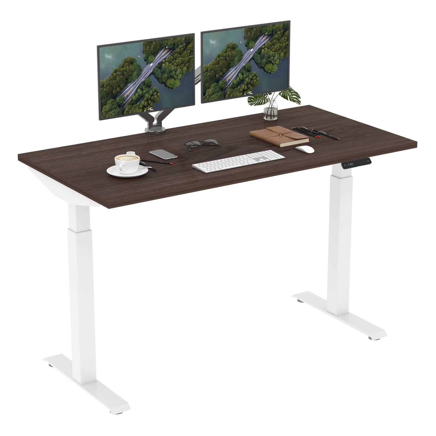 Dual Motor Standing Desk | ALFA DUO Desk - Standing Desk Dual Motor 2 Stage 55 x 28"