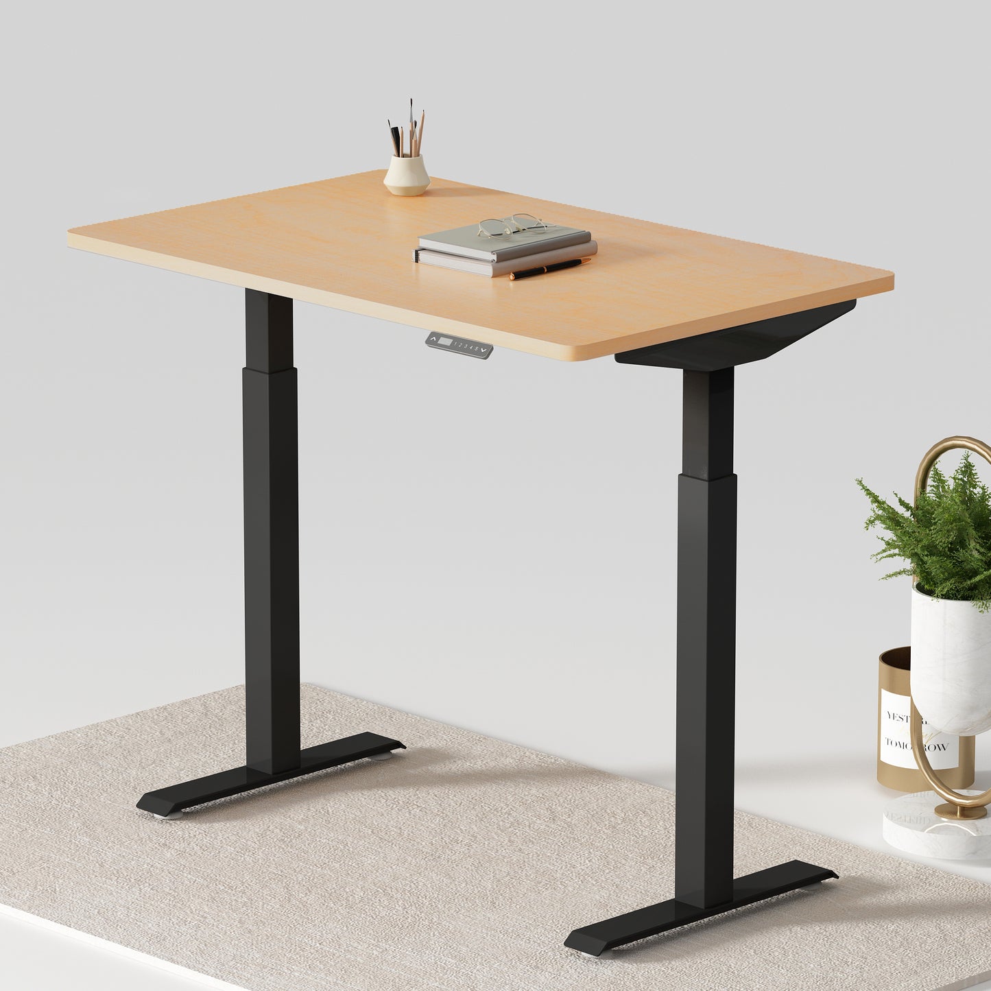 Dual Motor Standing Desk | ALFA DUO Desk - Standing Desk Dual Motor 2 Stage 48 x 30"