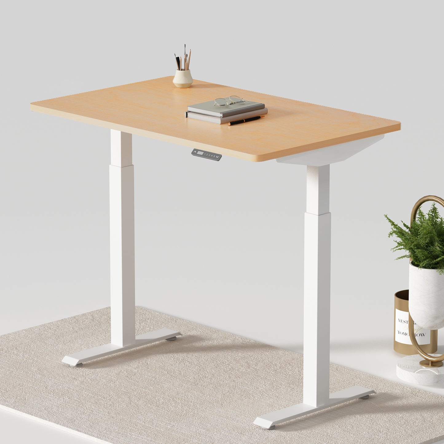 Dual Motor Standing Desk | ALFA DUO Desk - Standing Desk Dual Motor 2 Stage 48 x 30"