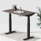 Dual Motor Standing Desk | Electric Standing Desk - ALFA DUO RANGE Desk 3 Stage 60 x 30"