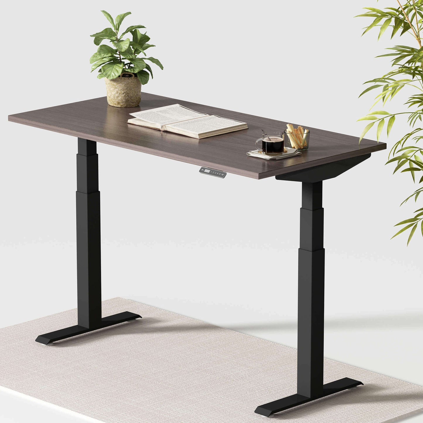 Dual Motor Standing Desk | Electric Standing Desk - ALFA DUO RANGE Desk 3 Stage 60 x 30"