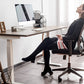 Dual Motor Standing Desk | ALFA DUO Desk - Standing Desk Dual Motor 2 Stage 48 x 30"