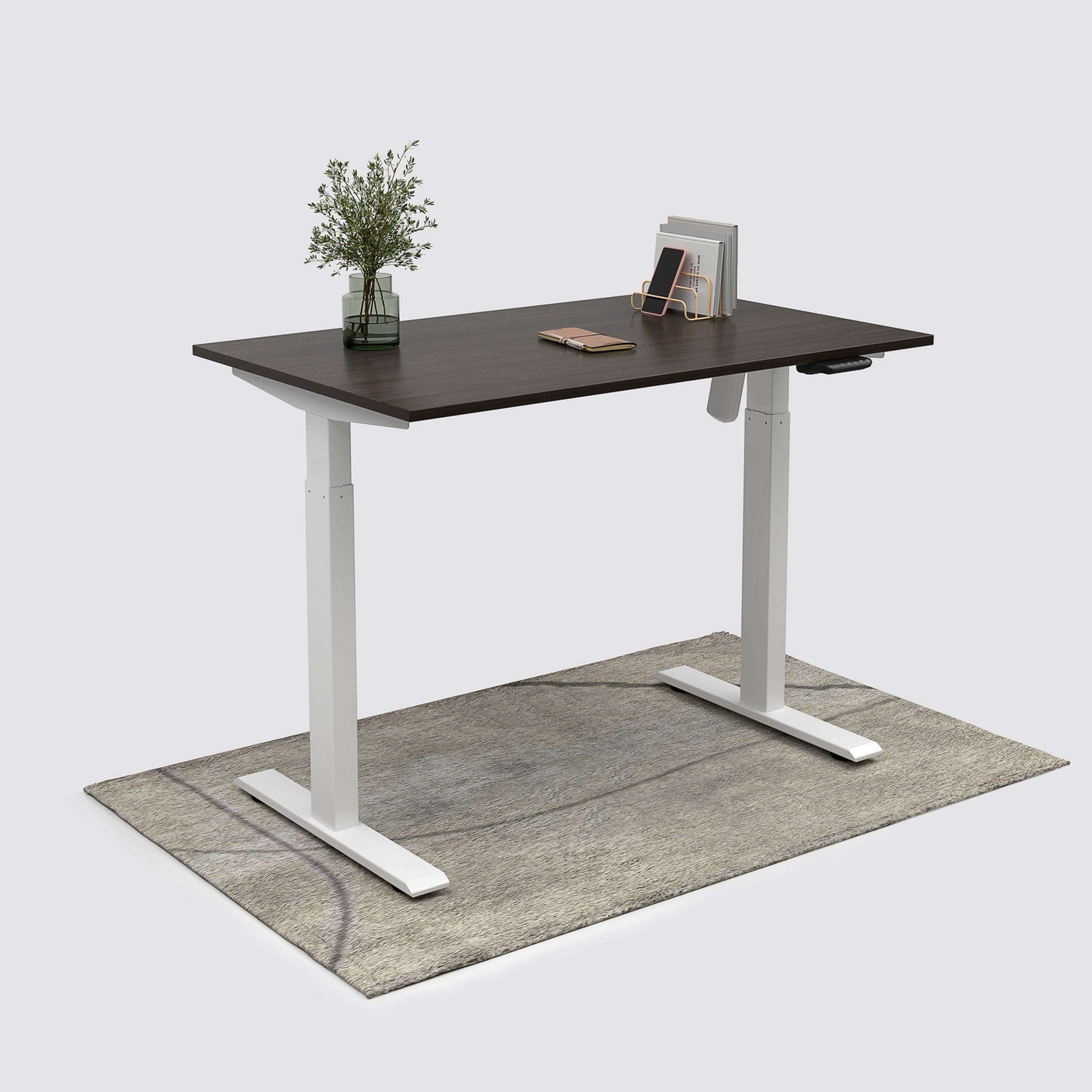 Single Motor Standing Desk | ALFA SOLE Desk - Standing Desk Single Motor 48 x 30"