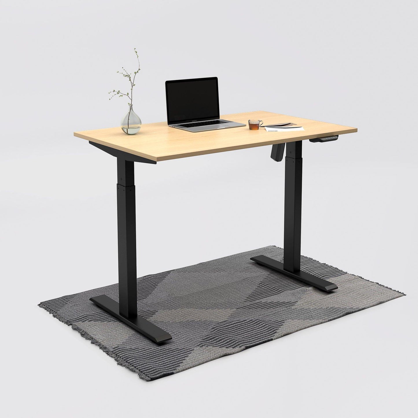 Single Motor Standing Desk | ALFA SOLE Desk - Standing Desk Single Motor