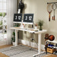 Dual Motor Standing Desk | ALFA Standing Desk - 60" x 24" Standing Desk Dual Motor