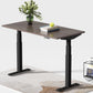 Dual Motor Standing Desk | Electric Standing Desk - ALFA DUO RANGE Desk 3 Stage 60 x 30"
