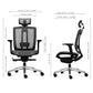 ALFA Office Chair Mesh Back with Lumbar Support Executive Computer desk Chair 216