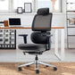 Ergonomic Chair - Best Office Chair for Back Pain | Best Desk Chairs - ALFA ORCA Task Chair With Headrest
