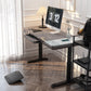 SUMO | Morden Luxury Standing desk with Wireless Glass Desktop  Charging Dual Motor 2 Stage frame 55" x 28"