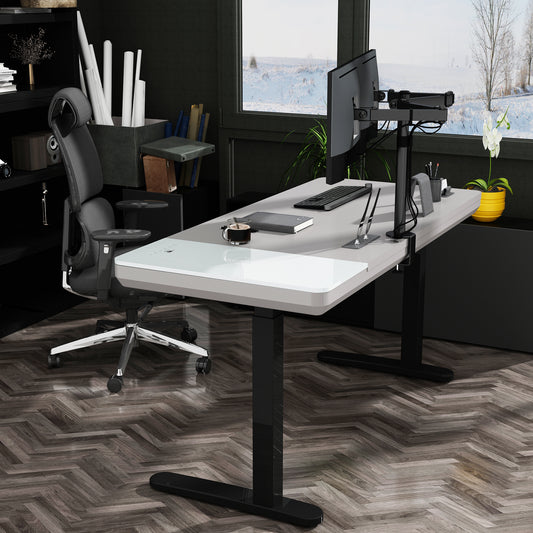 SUMO | Morden Luxury Standing desk with Wireless Glass Desktop  Charging Dual Motor 2 Stage frame 55" x 28"