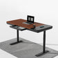 SUMO | Morden Luxury Standing desk with Wireless Glass Desktop  Charging Dual Motor 2 Stage frame 55" x 28"
