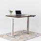 Dual Motor Standing Desk | ALFA DUO Desk - Standing Desk Dual Motor