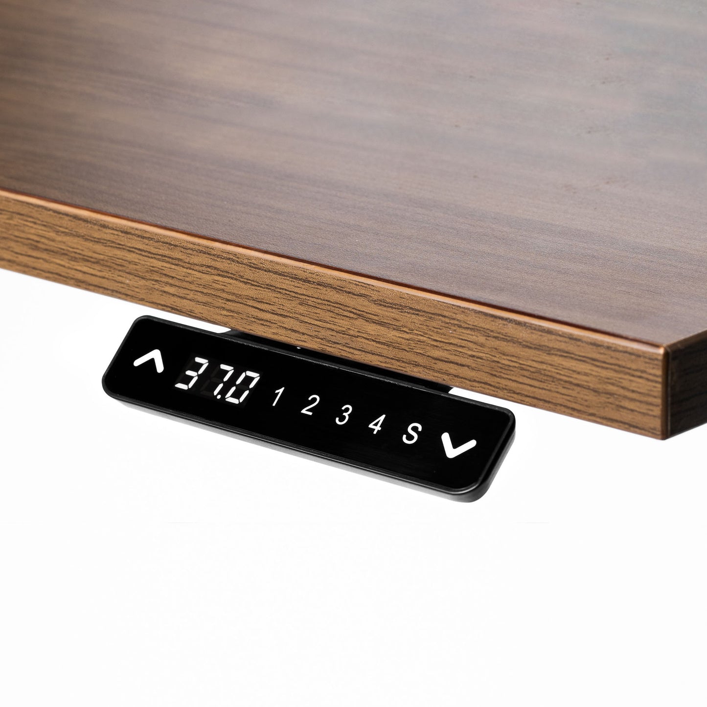 Dual Motor Standing Desk | ALFA DUO Desk - Standing Desk Dual Motor 2 Stage 48 x 30"
