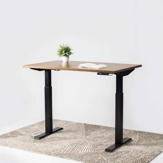 Dual Motor Standing Desk | ALFA DUO Desk - Standing Desk Dual Motor 2 Stage 55 x 28"