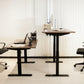Dual Motor Standing Desk | ALFA DUO Desk - Standing Desk Dual Motor