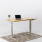 Dual Motor Standing Desk | ALFA DUO Desk - Standing Desk Dual Motor