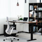 Dual Motor Standing Desk | ALFA DUO Desk - Standing Desk Dual Motor