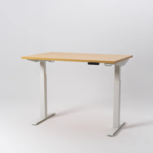 Dual Motor Standing Desk | ALFA DUO Desk - Standing Desk Dual Motor 2 Stage 48 x 30"