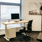 Dual Motor Standing Desk | ALFA DUO Desk - Standing Desk Dual Motor